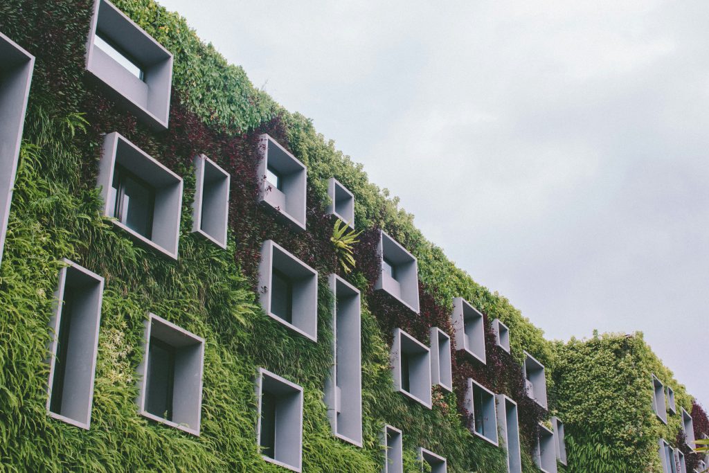 How to Choose the Right Hotel: The Ultimate Expert Booking Guide Fachada de hotel cubierta por un jardín vertical vivo, con las ventanas enmarcadas por vegetación exuberante