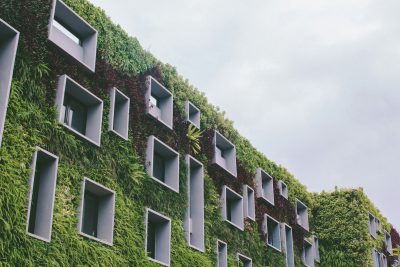 Fachada de hotel cubierta por un jardín vertical vivo, con las ventanas enmarcadas por vegetación exuberante